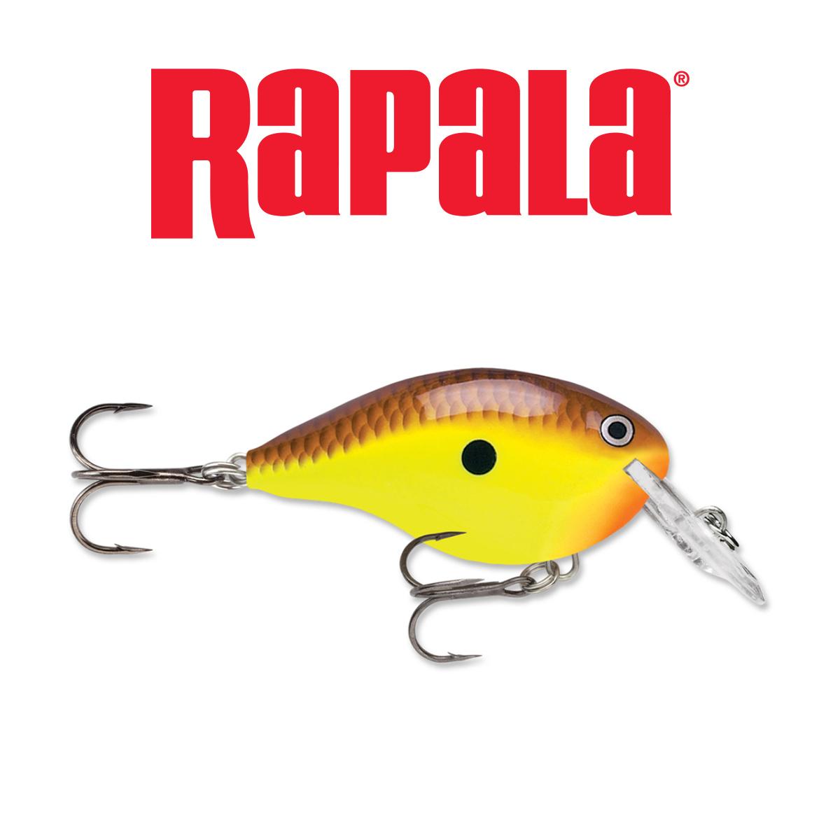 Rapala DT Dives-To Crankbaits, Fishing Tackle | Jann's Netcraft